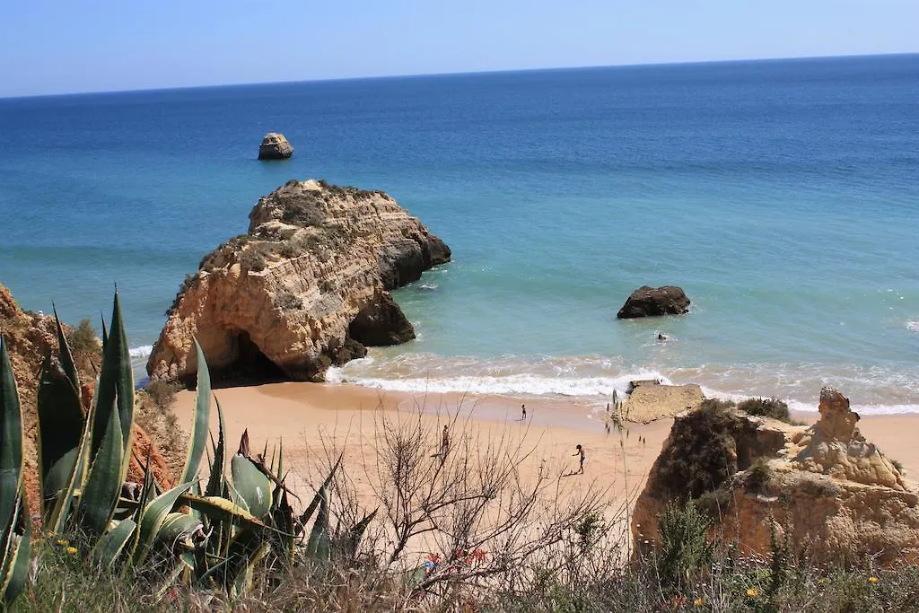 Praia Da Rocha Apartments بورتيماو